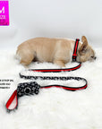 Nylon Dog Collar - French Bulldog wearing black with bold red stripe dog collar with matching dog leash and poop bag carrier attached - against solid white background - Wag Trendz