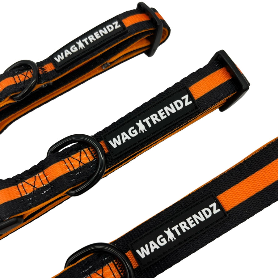 Nylon Dog Collar - 3 black nylon dog collars with bold orange stripe - small, medium and large laying in a line -  against a solid white background - Wag Trendz