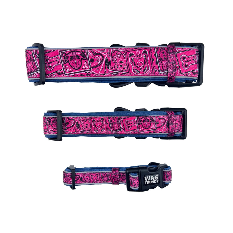 Reflective Dog Collar - Small, Medium and large reflective dog collar in Bandana Boujee in Hot Pink with Denim padded backing - back view - against solid white background - Wag Trendz