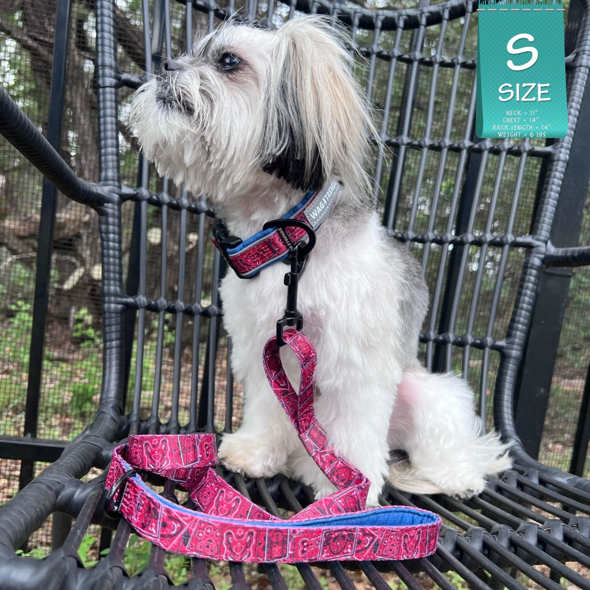 Reflective Dog Collar - Bandana Boujee - Red | Wag Trendz®