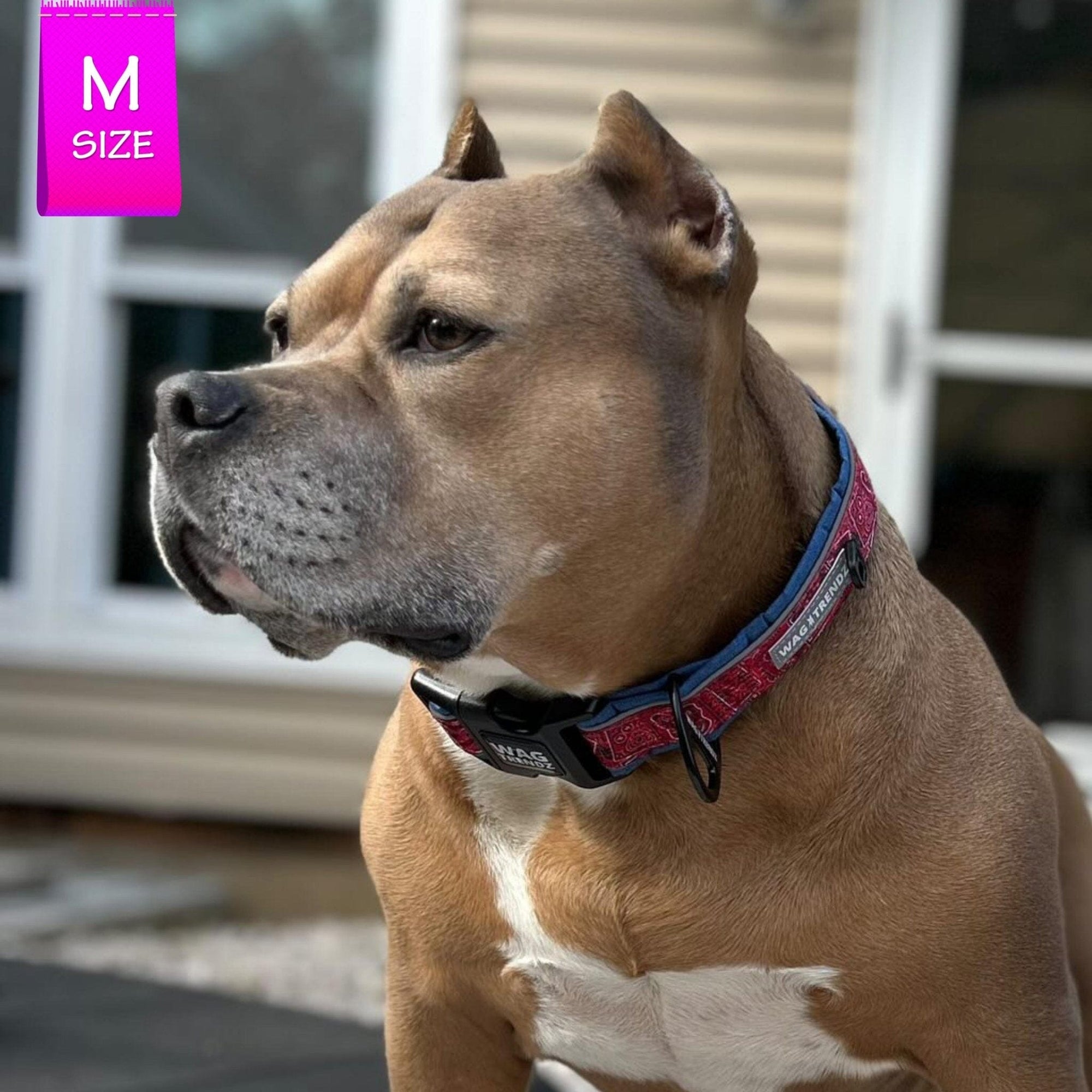 Reflective Dog Collar Bandana Boujee Red Wag Trendz®