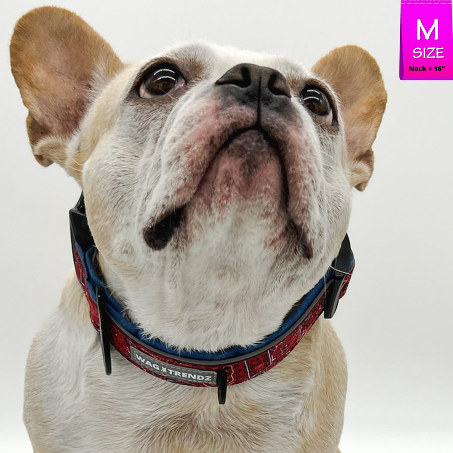 Reflective Dog Collar - French Bulldog wearing Bandana Boujee Reflective Dog Collar with Denim padded interior - against solid white background - Wag Trendz