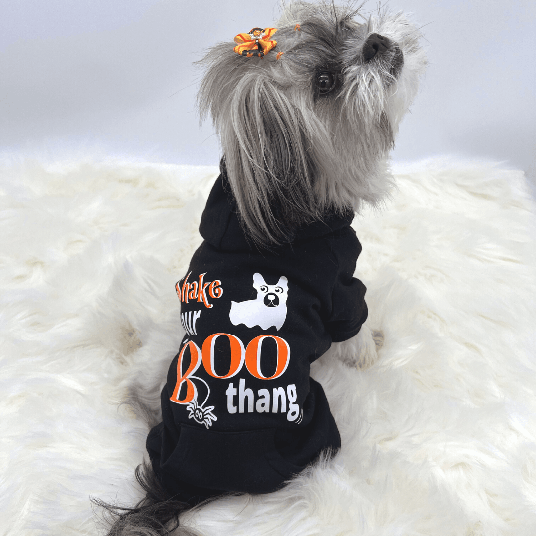 Dog Hoodie - Hoodies For Dogs - Halloween - small dog wearing &quot;Shake Your BOO Thang&quot; dog hoodie in black - back view - against solid white background - Wag Trendz