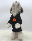 Dog Hoodie - Hoodies For Dogs - Halloween - small dog wearing "Shake Your BOO Thang"  hoodie in black with orange pumpkin on front - against solid white background - Wag Trendz